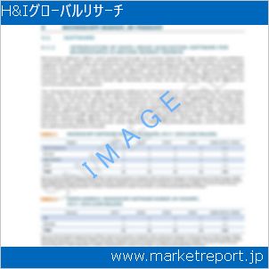 市場と産業調査レポートのイメージ